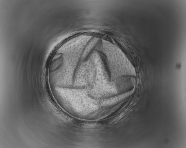 X0000115540342200911271415