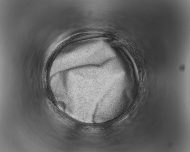 X0000115540343200911271415