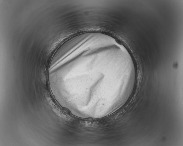 X0000115540345200911271415