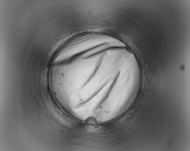 X0000115540346200911271415