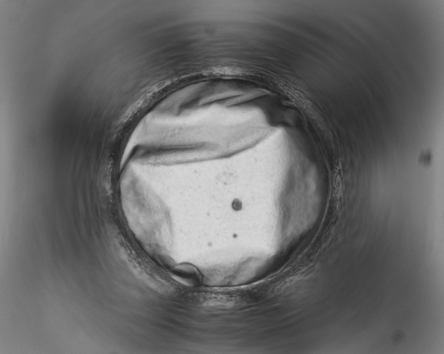 X0000115540347200911271415