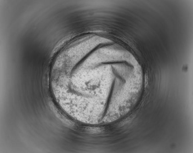 X0000115540349200911271415