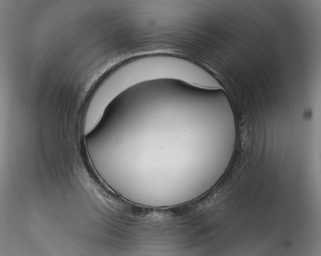 X0000115540350200911271415