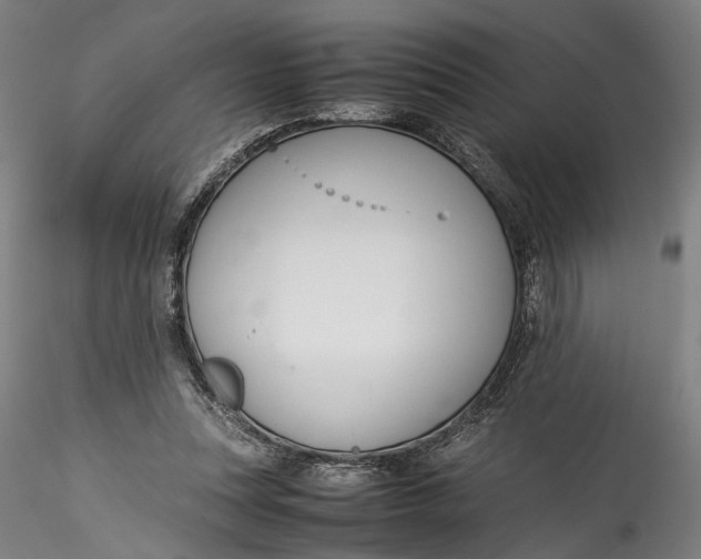 X0000115540351200911271415