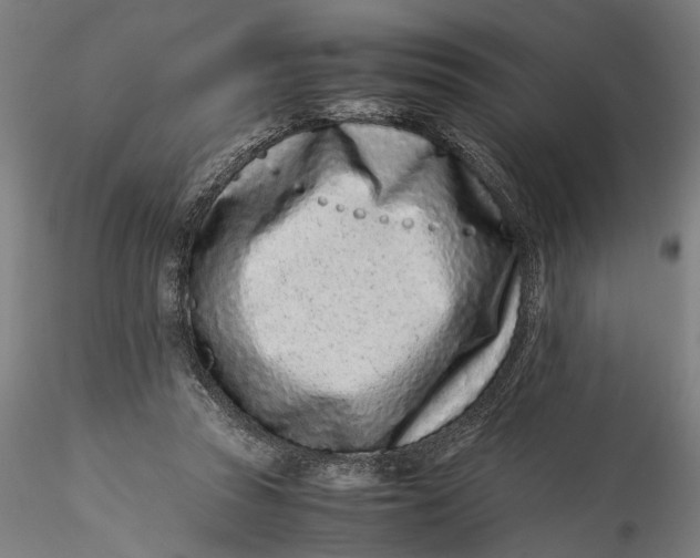 X0000115540353200911271415