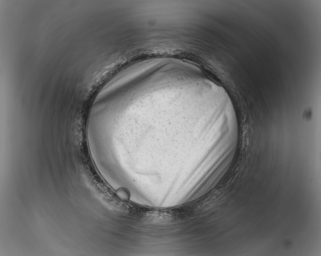 X0000115540354200911271416