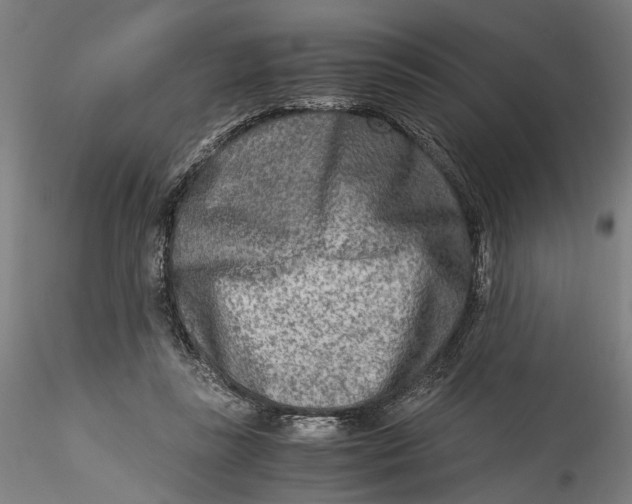 X0000115540355200911271416