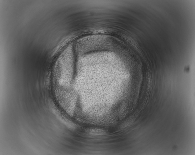 X0000115540357200911271416