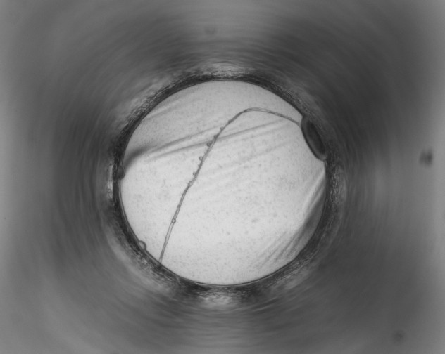 X0000115540358200911271416