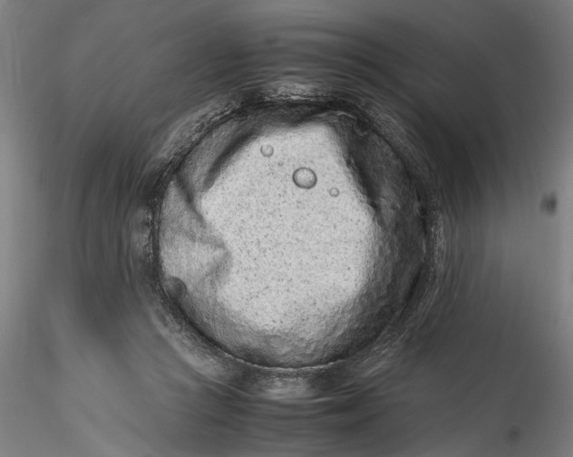 X0000115540361200911271416