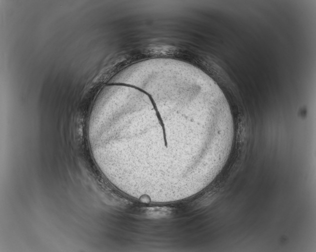 X0000115540363200911271416