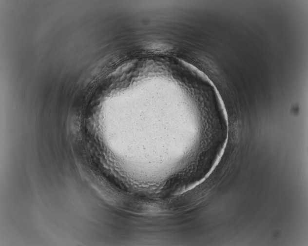 X0000115540365200911271416