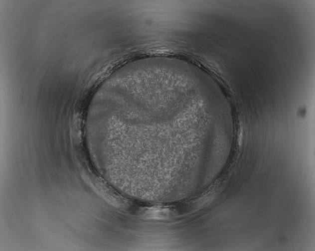 X0000115540366200911271416