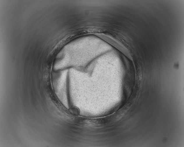 X0000115540367200911271416