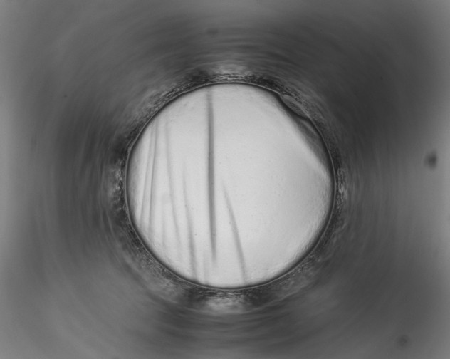 X0000115540369200911271416