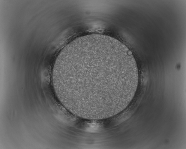 X0000115540370200911271416