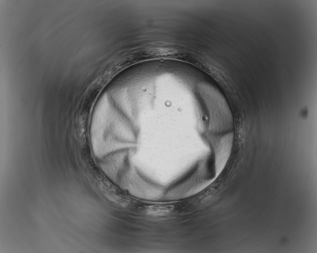 X0000115540373200911271416