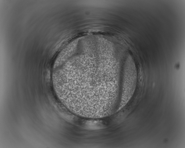 X0000115540375200911271416