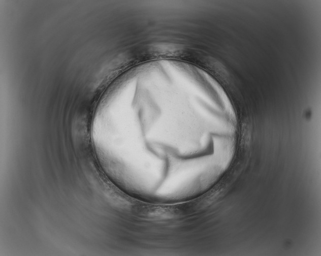 X0000115540377200911271416