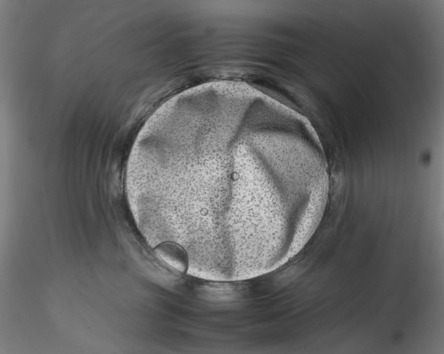 X0000115540381200911271416