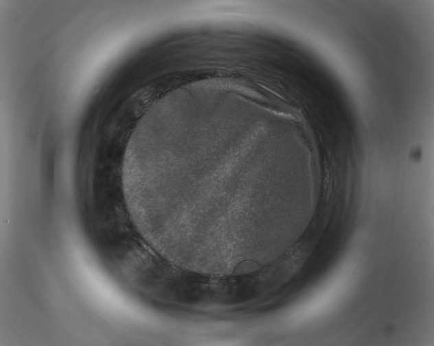 X0000115540383200911271416