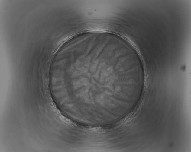 X0000115540385200911271415