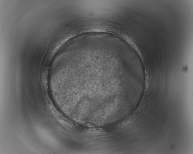 X0000115540386200911271415