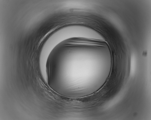 X0000115540387200911271415