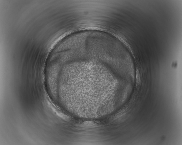 X0000115540390200911271415