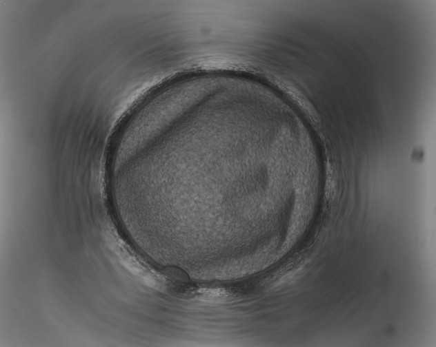 X0000115540391200911271415