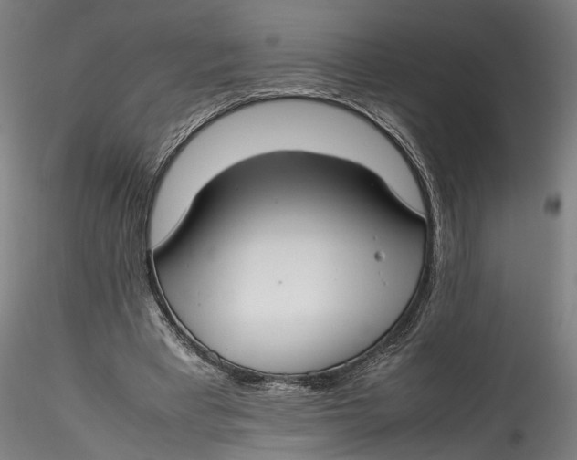 X0000115540393200911271415