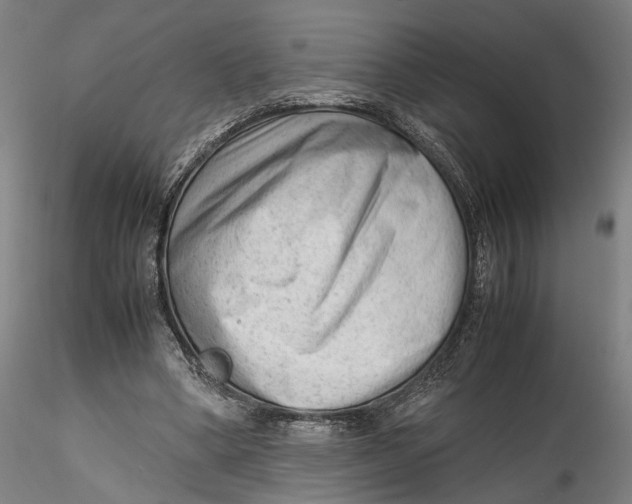 X0000115540394200911271415