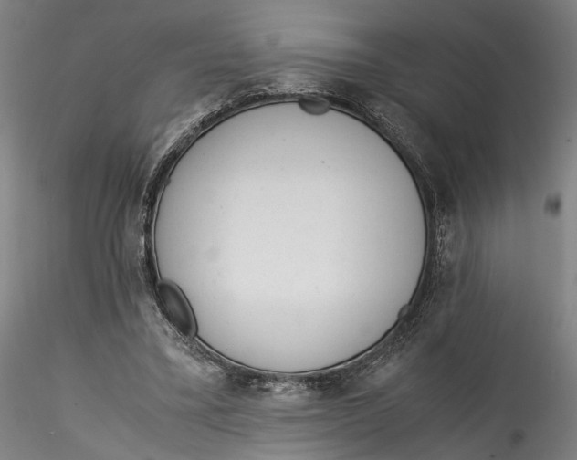 X0000115540395200911271415