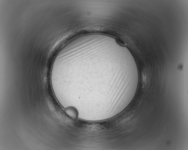 X0000115540396200911271415