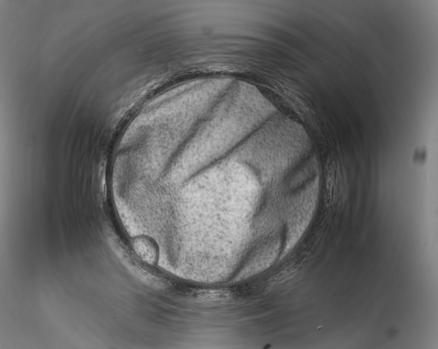 X0000115540398200911271415