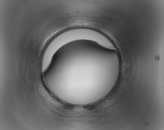 X0000115540399200911271415