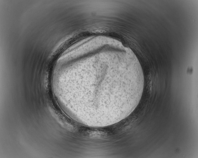 X0000115540400200911271415