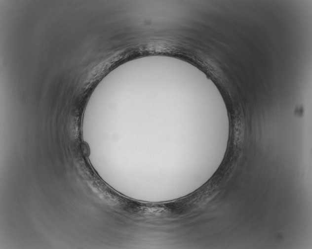 X0000115540401200911271415