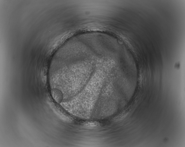 X0000115540402200911271415