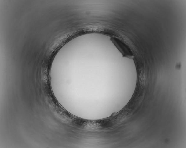 X0000115540403200911271415