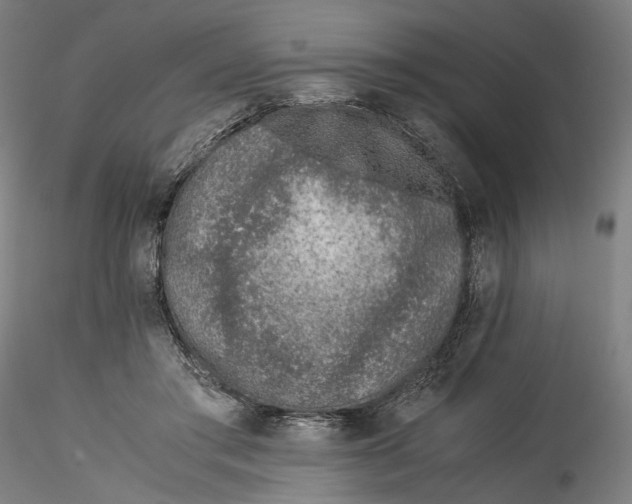 X0000115540405200911271415