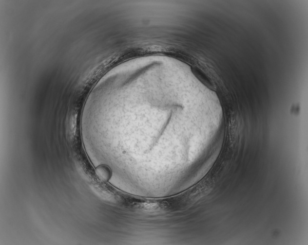 X0000115540406200911271415