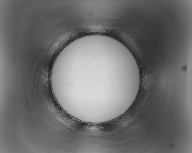 X0000115540407200911271415