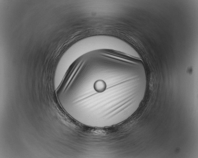 X0000115540409200911271415