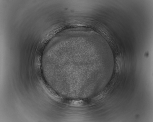 X0000115540410200911271415