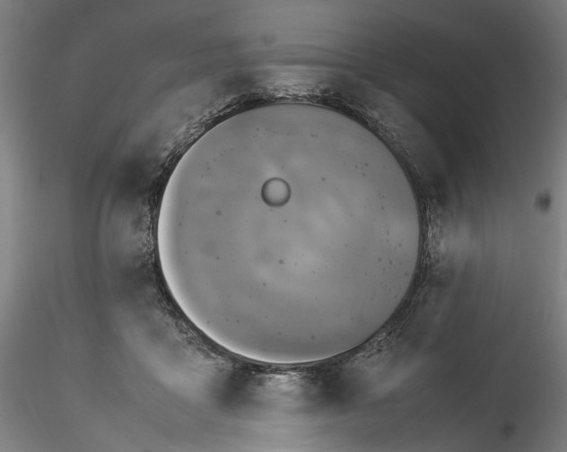 X0000115540411200911271415