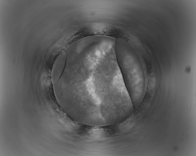 X0000115540413200911271415