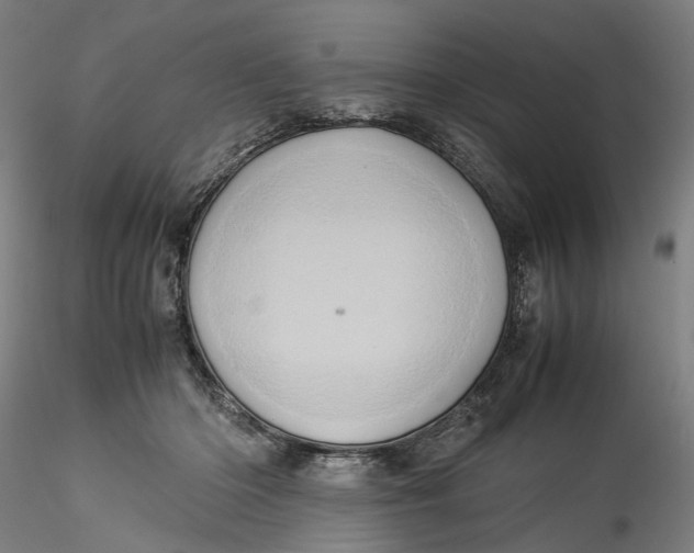 X0000115540414200911271415