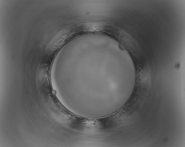 X0000115540415200911271415