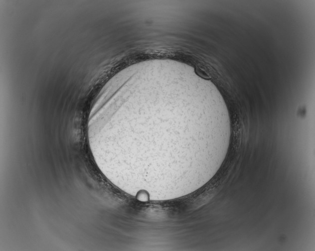 X0000115540416200911271415